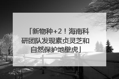 新物种+2！海南科研团队发现素贞灵芝和自然保护地壁虎