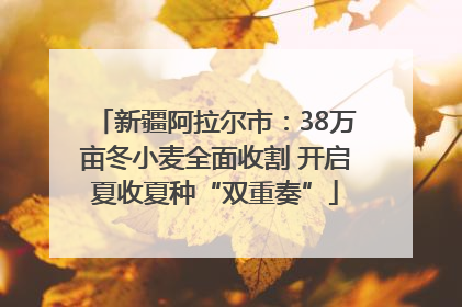 新疆阿拉尔市：38万亩冬小麦全面收割 开启夏收夏种“双重奏”