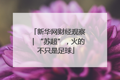 新华网财经观察｜“苏超”，火的不只是足球