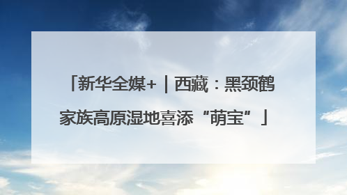 新华全媒+｜西藏：黑颈鹤家族高原湿地喜添“萌宝”