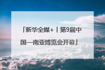 新华全媒+丨第9届中国—南亚博览会开幕
