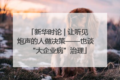 新华时论 | 让听见炮声的人做决策——也谈“大企业病”治理