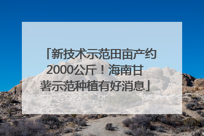 新技术示范田亩产约2000公斤！海南甘薯示范种植有好消息