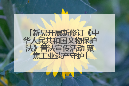 新晃开展新修订《中华人民共和国文物保护法》普法宣传活动 聚焦工业遗产守护