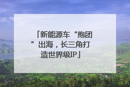 新能源车“抱团”出海，长三角打造世界级IP