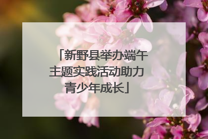 新野县举办端午主题实践活动助力青少年成长