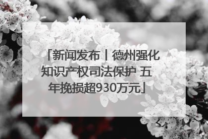 新闻发布丨德州强化知识产权司法保护 五年挽损超930万元