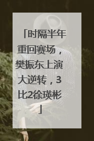 时隔半年重回赛场，樊振东上演大逆转，3比2徐瑛彬
