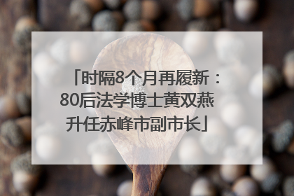 时隔8个月再履新：80后法学博士黄双燕升任赤峰市副市长