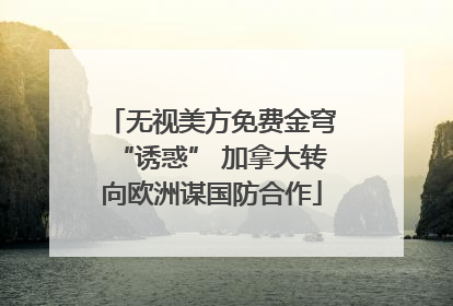 无视美方免费金穹“诱惑” 加拿大转向欧洲谋国防合作