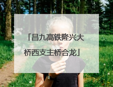昌九高铁隆兴大桥西支主桥合龙
