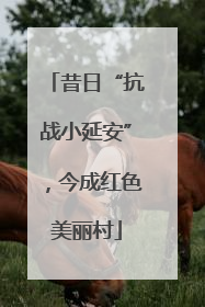 昔日“抗战小延安”，今成红色美丽村