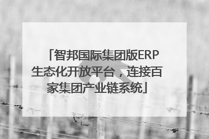智邦国际集团版ERP生态化开放平台，连接百家集团产业链系统