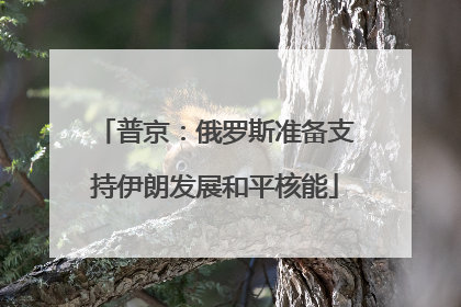 普京：俄罗斯准备支持伊朗发展和平核能
