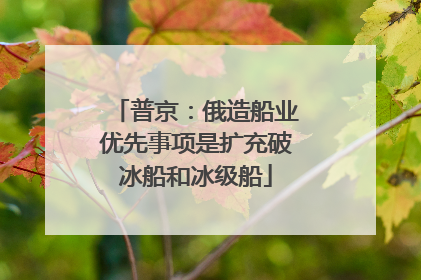 普京：俄造船业优先事项是扩充破冰船和冰级船