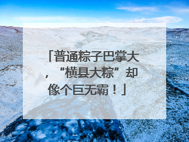 普通粽子巴掌大，“横县大粽”却像个巨无霸！