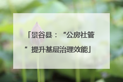 景谷县：“公房社管”提升基层治理效能