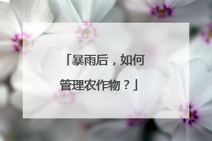 暴雨后，如何管理农作物？