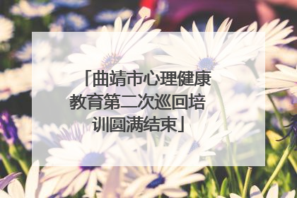 曲靖市心理健康教育第二次巡回培训圆满结束