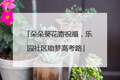 朵朵葵花寄祝福，乐园社区助梦高考路