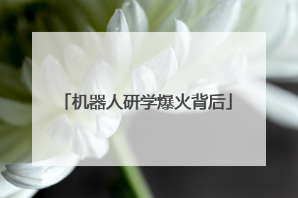 机器人研学爆火背后