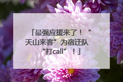 最强应援来了！“天山来客”为宿迁队“打call”！