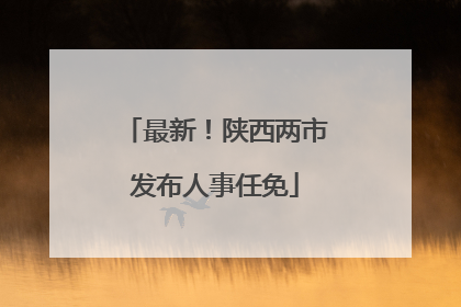 最新！陕西两市发布人事任免