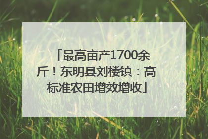 最高亩产1700余斤！东明县刘楼镇：高标准农田增效增收