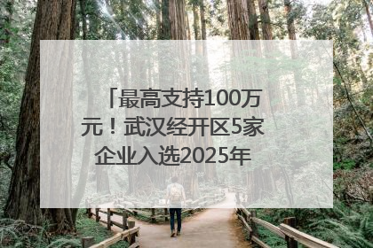 最高支持100万元！武汉经开区5家企业入选2025年度武汉市重点研发计划拟立项项目名单