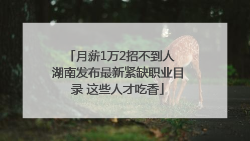 月薪1万2招不到人 湖南发布最新紧缺职业目录 这些人才吃香