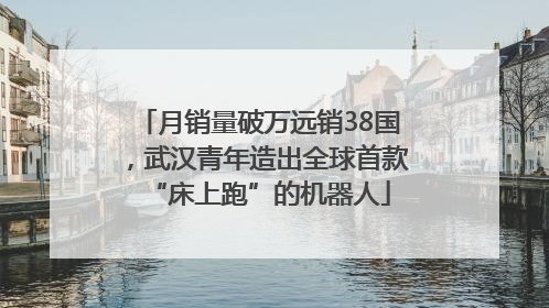 月销量破万远销38国，武汉青年造出全球首款“床上跑”的机器人