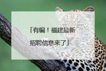 有编！福建最新招聘信息来了