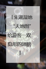 朱湖湿地“天地图”给游客一双隐形的翅膀