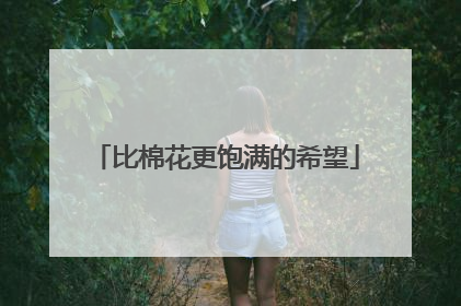比棉花更饱满的希望