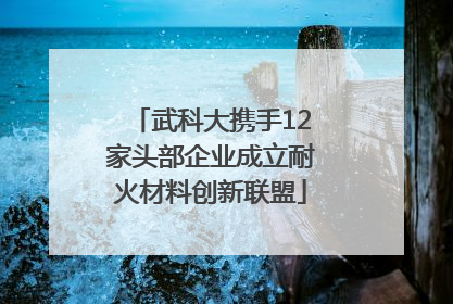 武科大携手12家头部企业成立耐火材料创新联盟