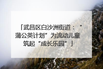 武昌区白沙洲街道：“蒲公英计划”为流动儿童筑起“成长乐园”