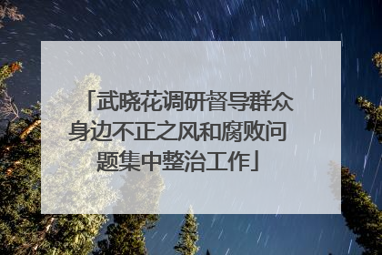 武晓花调研督导群众身边不正之风和腐败问题集中整治工作