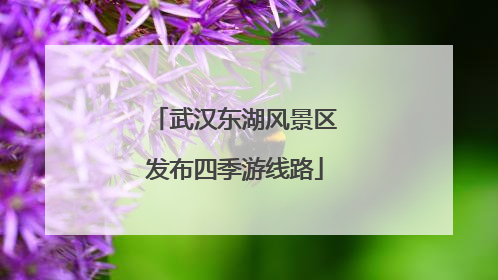 武汉东湖风景区发布四季游线路
