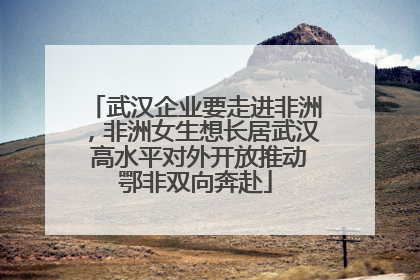 武汉企业要走进非洲，非洲女生想长居武汉 高水平对外开放推动鄂非双向奔赴