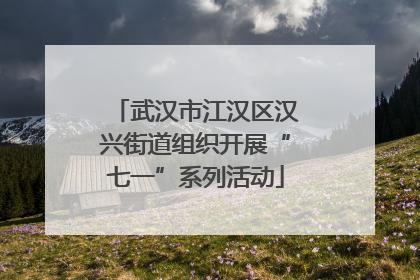 武汉市江汉区汉兴街道组织开展“七一”系列活动