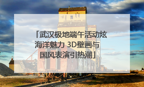 武汉极地端午活动炫海洋魅力 3D壁画与国风表演引热潮