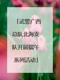 武警广西总队北海支队开展端午系列活动