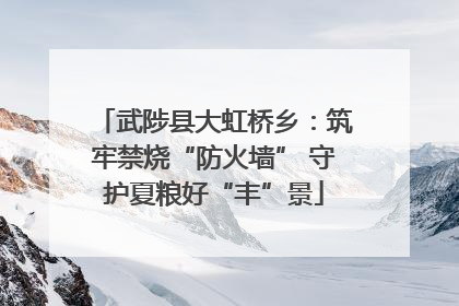 武陟县大虹桥乡：筑牢禁烧“防火墙” 守护夏粮好“丰”景