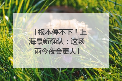 根本停不下！上海最新确认：这场雨今夜会更大