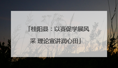 桂阳县：以赛促学展风采 理论宣讲润心田