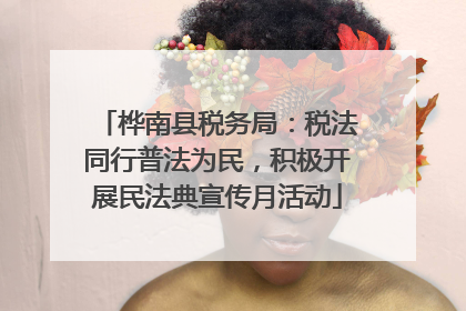 桦南县税务局：税法同行普法为民，积极开展民法典宣传月活动