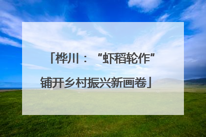 桦川：“虾稻轮作”铺开乡村振兴新画卷