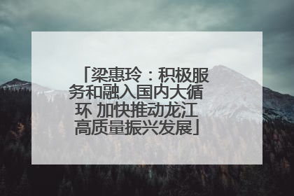 梁惠玲：积极服务和融入国内大循环 加快推动龙江高质量振兴发展