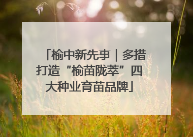 榆中新先事｜多措打造“榆苗陇萃”四大种业育苗品牌