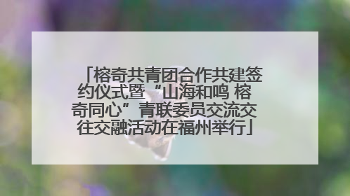 榕奇共青团合作共建签约仪式暨“山海和鸣 榕奇同心”青联委员交流交往交融活动在福州举行